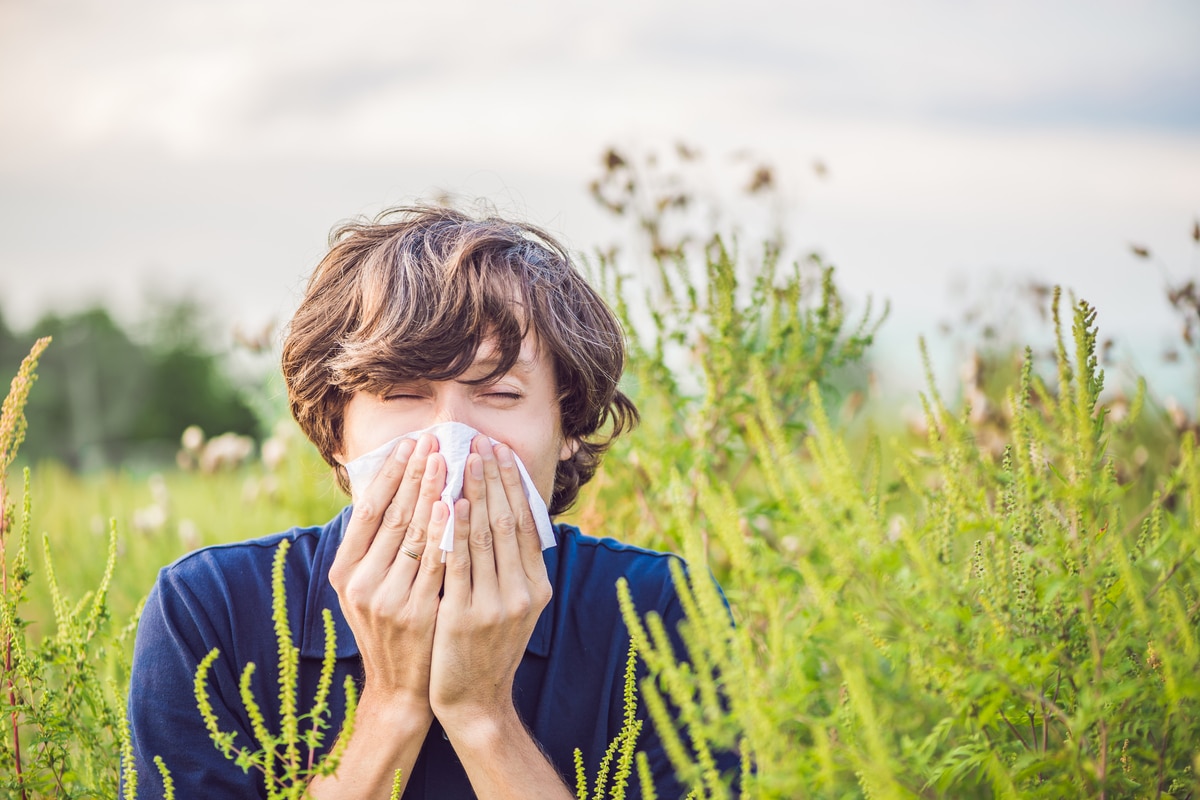 Des aliments anti-allergies !