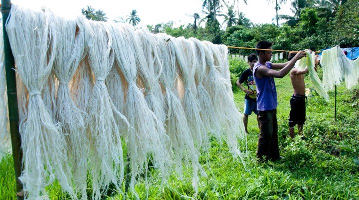 Le Piñatex, un textile d'origine végétale durable et biodégradable