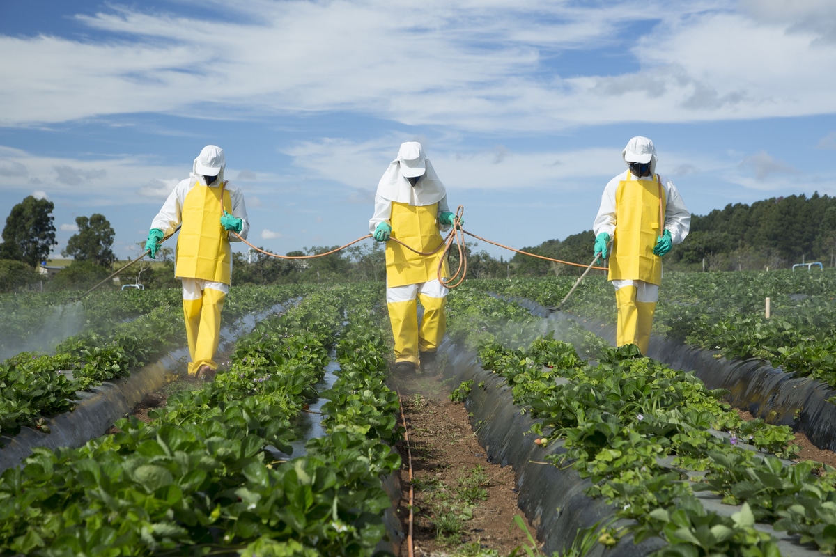 pesticides