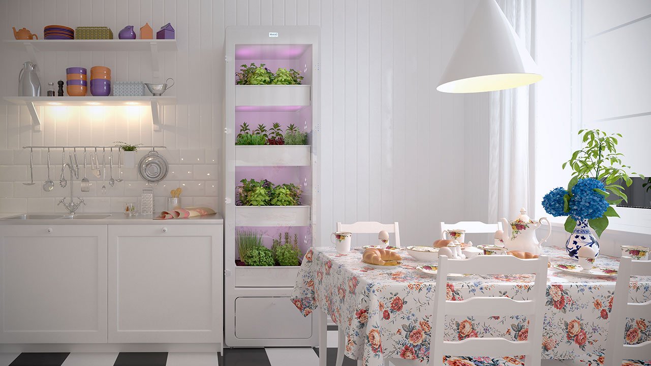 Serre d'intérieur, une nouvelle tendance