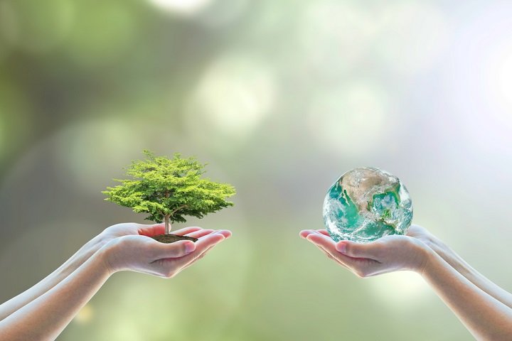 La journée mondiale de l'environnement : toutes les informations