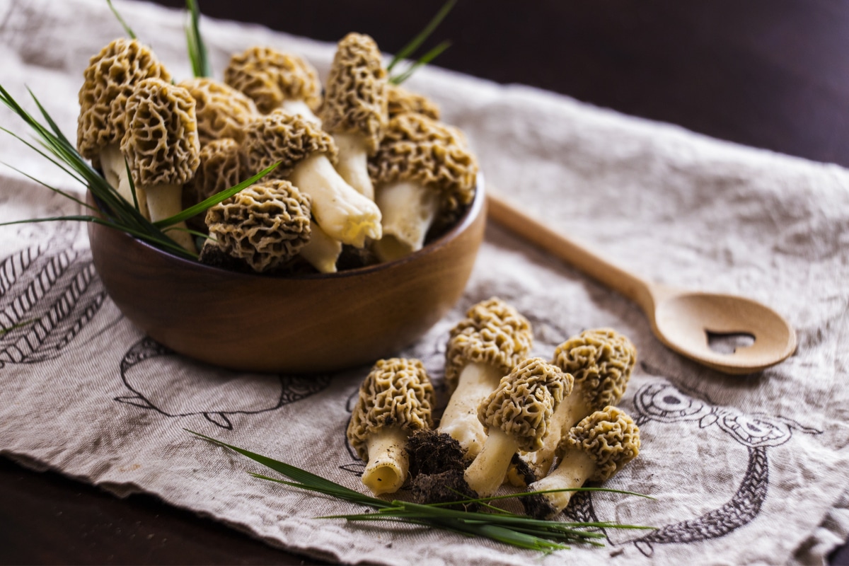 Morilles posés dans un bol en bois, cuillère en bois, brins d'herbe, nappe en tissu, ambiance champêtre