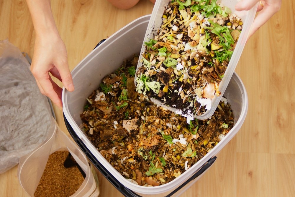 Déchets organiques versés avec une pelle en plastique dans un bac de compostage bokashi