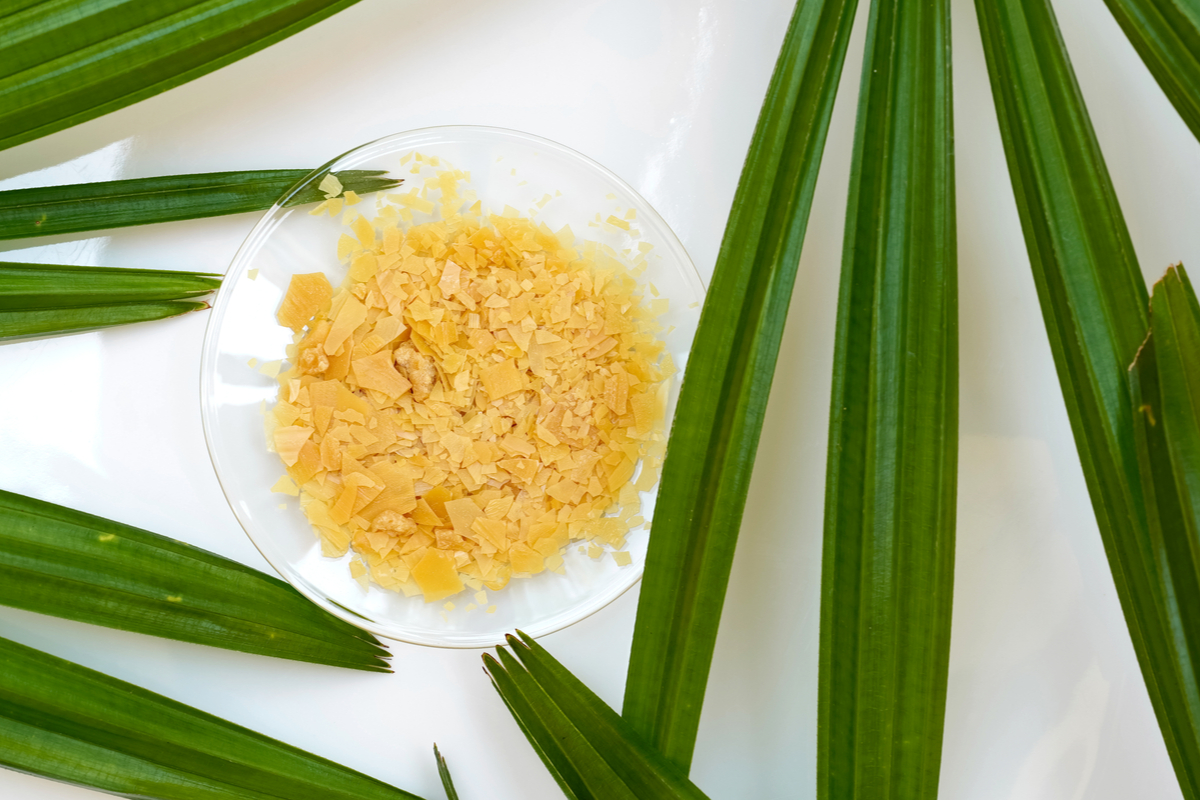Cire en paillettes dans une assiette entourée de feuilles de palmier