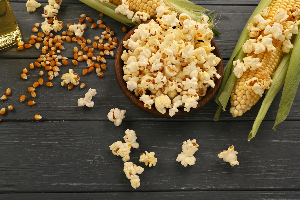 Epis de maïs, grains de maïs et pop corn