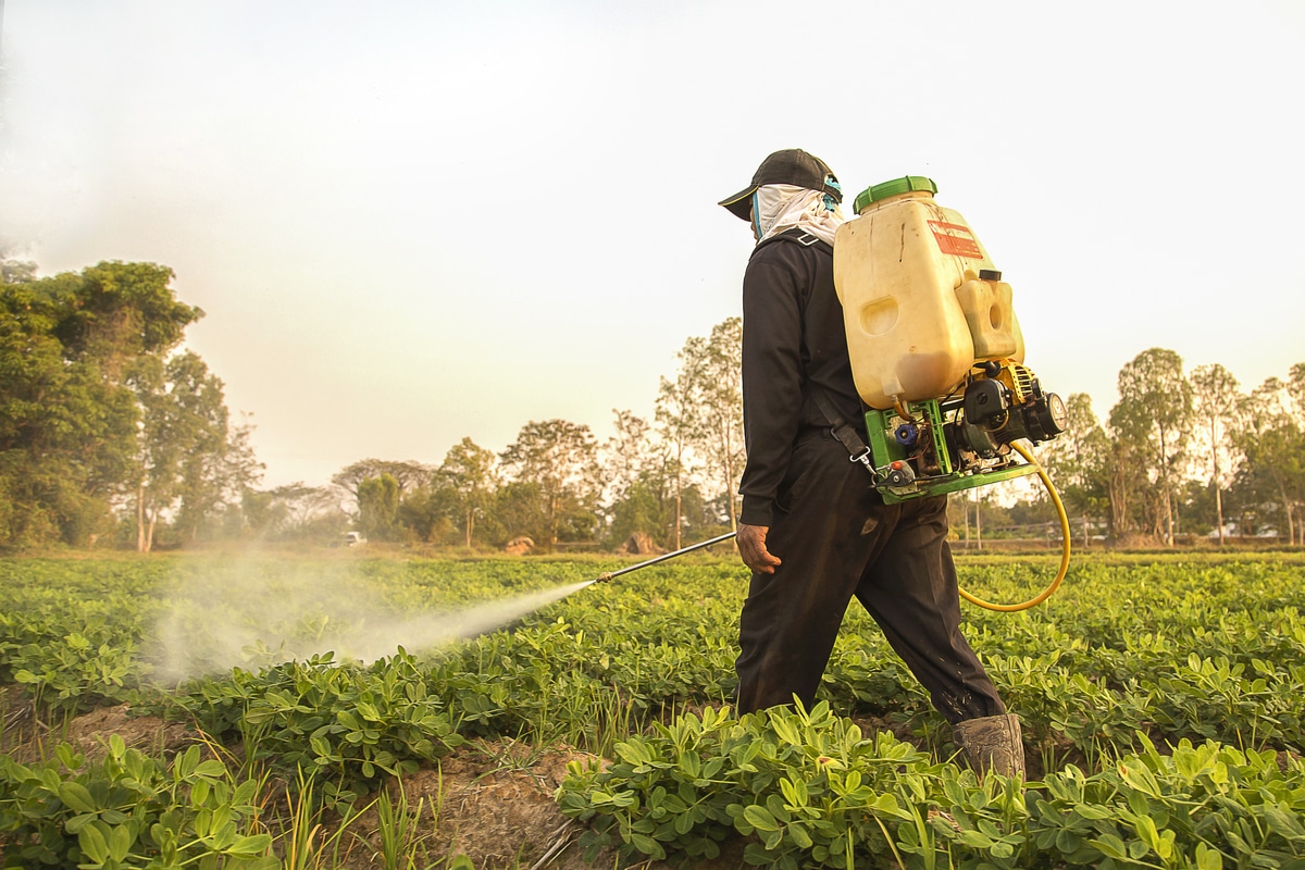 Herbicide : homme protégé répend des herbicides dans un champ